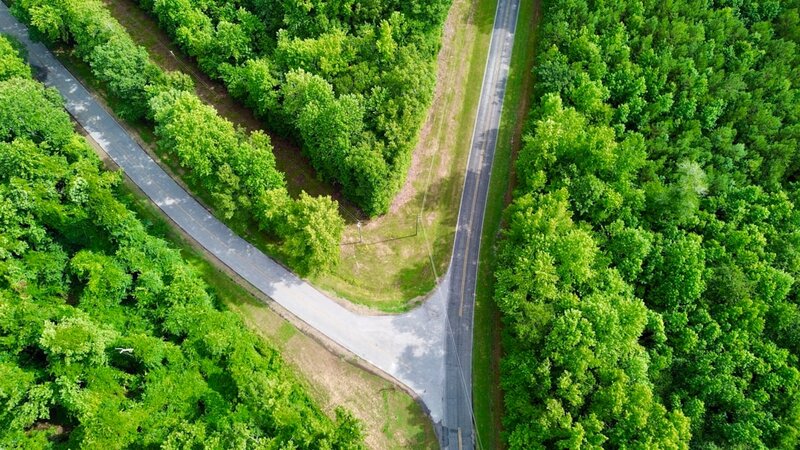 Aerial view of a road forking into two routes through forest, representing one URL serving two representations