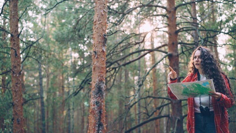 A person reading a paper map in a pine forest, representing planning a route against a published roadmap