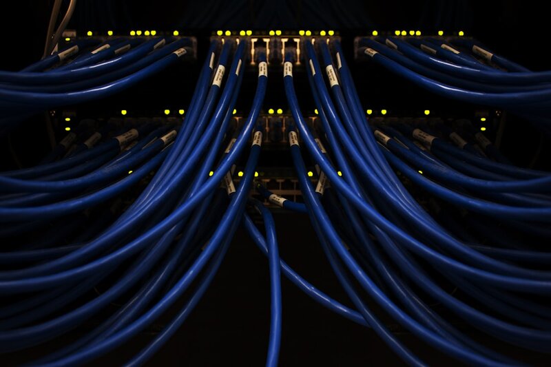 Blue Ethernet patch cables plugged into a network switch